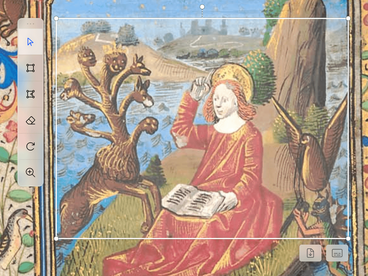 Pointer tool selecting an annotation in the viewer