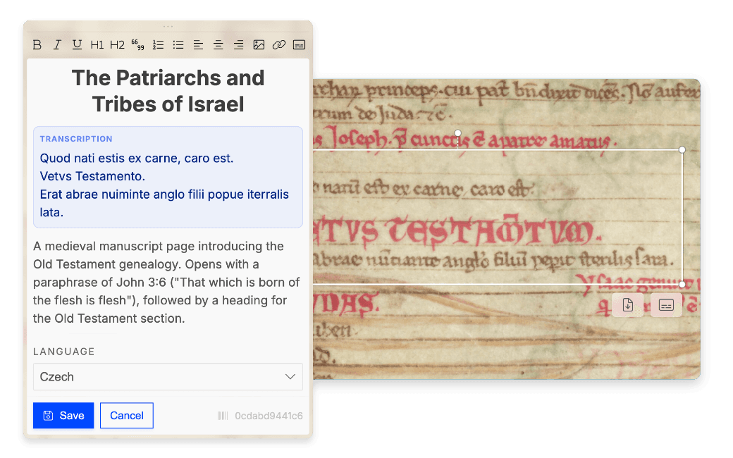 AI transcription panel streaming text from a selected region